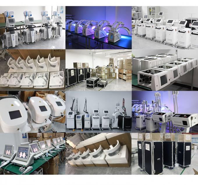 máquina de enfriamiento de la piel facial de la máquina -20c Cryotherapy Zimmer de 800w Cryotherapy 14