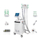 Cavitación 4 de Cryo Lipolaser RF de la máquina de Cryolipolysis en 1 sistema gordo del congelador para adelgazar del cuerpo