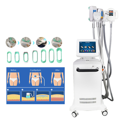 Escultura de enfriamiento Cryolipolysis que adelgaza la máquina para la reducción gorda
