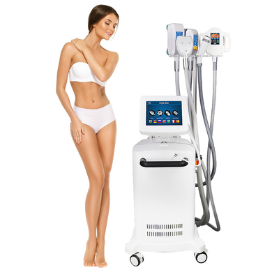 Máquina gorda del retiro de Cryolipolysis que se refresca esculpiendo la reducción gorda no invasor