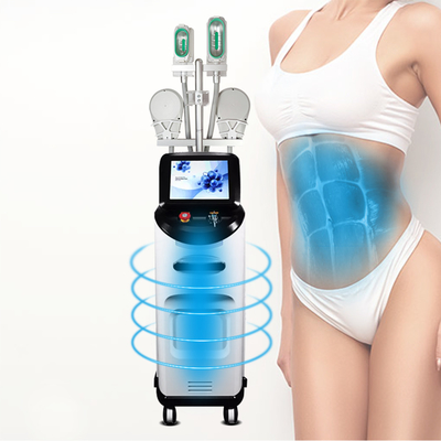 Cuerpo que adelgaza la tecnología de enfriamiento gorda de Cryolipolysis de la máquina que adelgaza la máquina
