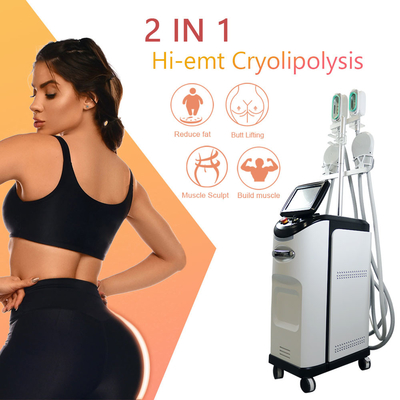 Retiro de congelación gordo de las celulitis de Cryo de la máquina 360 de Cryolipolyse el ccsme