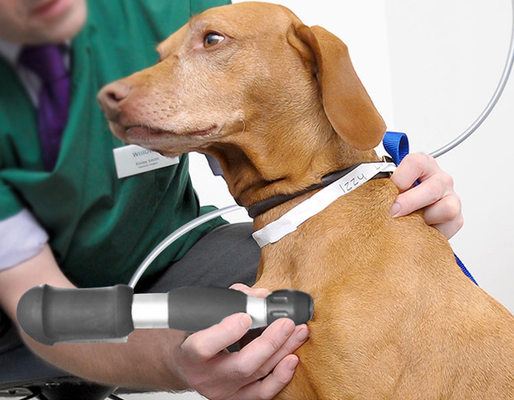 Quiropráctica Veterinaria y Mascarilla de ondas acústicas