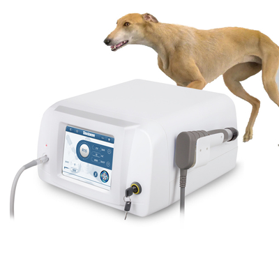 Dispositivo veterinario para aliviar el dolor con ondas de choque