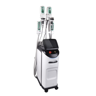 Tecnología fresca Cryolipólisis 360 Máquina de escultura corporal Salón de uso de la piel Aprietación de la celulitis Reducción del cuerpo adelgazamiento Pérdida de peso