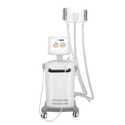 4 manijas Cryolipolysis que adelgaza la máquina