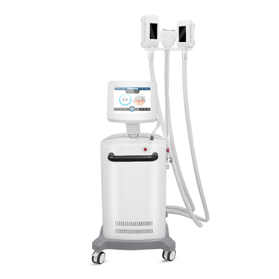 Helada gordo de Cryolipolysis del ABS que adelgaza la máquina para la panza