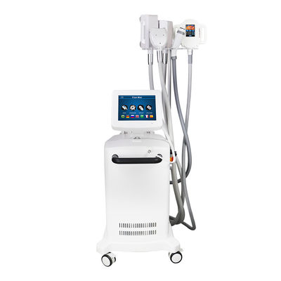 150W RF Cryolipolysis Máquina de adelgazamiento La solución definitiva de congelación de grasa con diodo láser AlGalnp 635-650nm longitud de onda