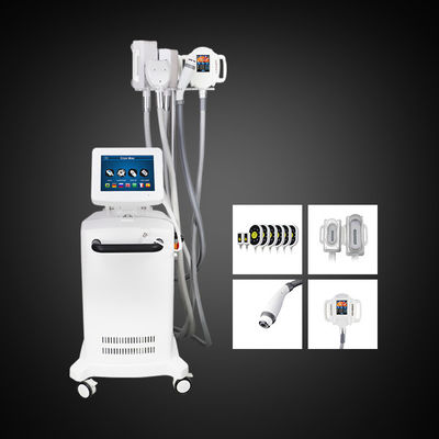 5 manijas Cryolipolysis que adelgaza la máquina gorda de la reducción del vientre de la máquina