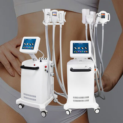 Máquina de adelgazamiento de cryolipólisis de congelación de grasa profesional con 360 ángulos para el cuerpo