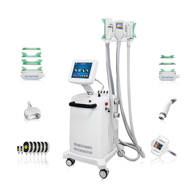 10.4 pulgadas de pantalla táctil cryo-lipo máquina de adelgazamiento para la reducción de grasa profesional
