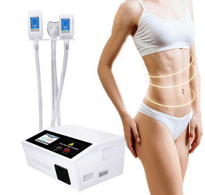 Mejor 360 Cryolipolisis de congelación gordo que adelgaza la máquina para el cuidado personal del salón